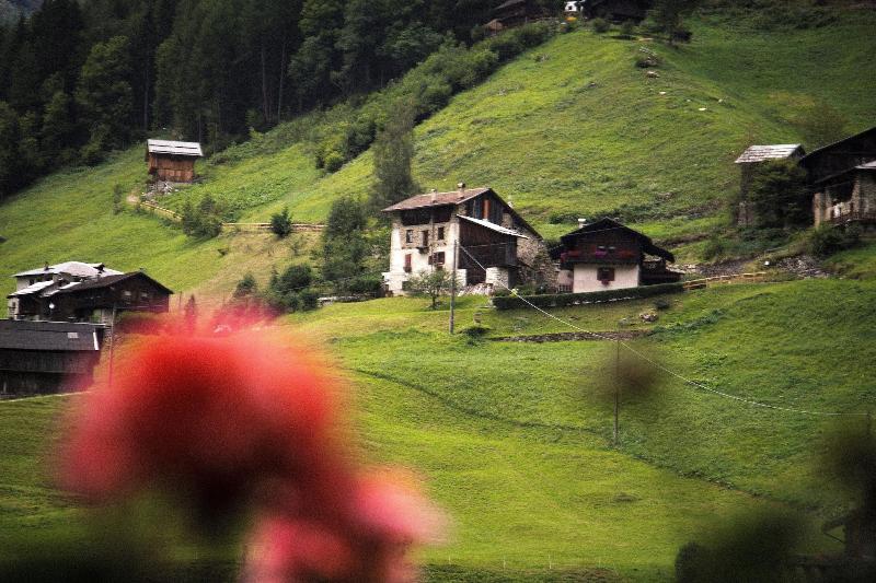 Alpen Hotel Rabbi - Oda