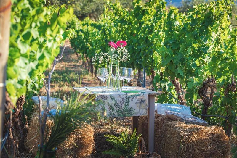 Hotel Ristorante S'Astore - Teras