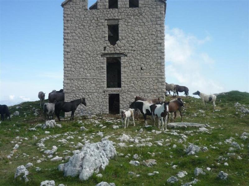 Locanda Del Parco Hotel - Aktivite