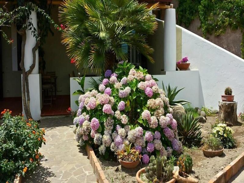 B&B Il Cappero - Teras