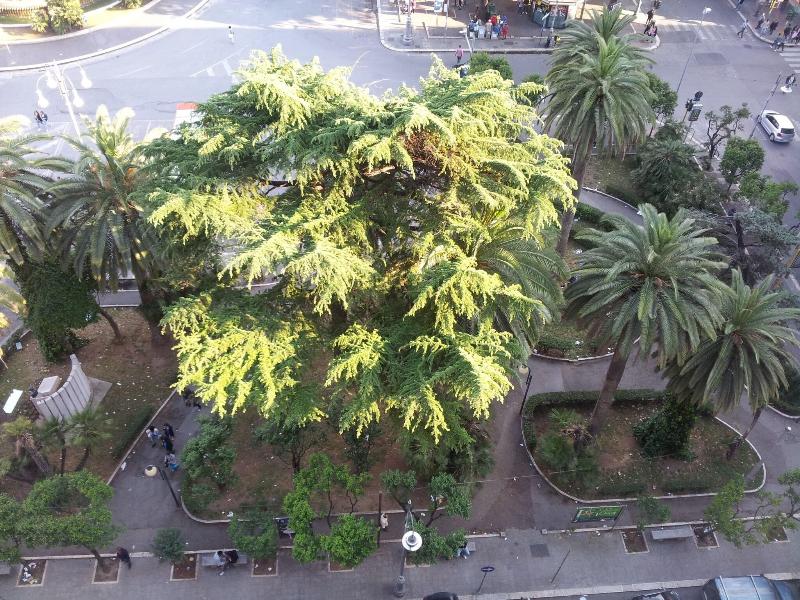 B&B Residenza Piazza Moro - Genel