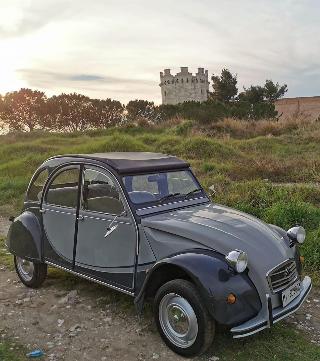 Le Foglie Di Acanto fotoÄŸrafÄ±