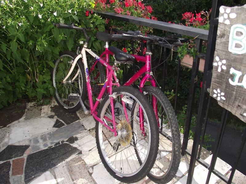 B&B Cinqueterre Il filo di Arianna - Aktivite