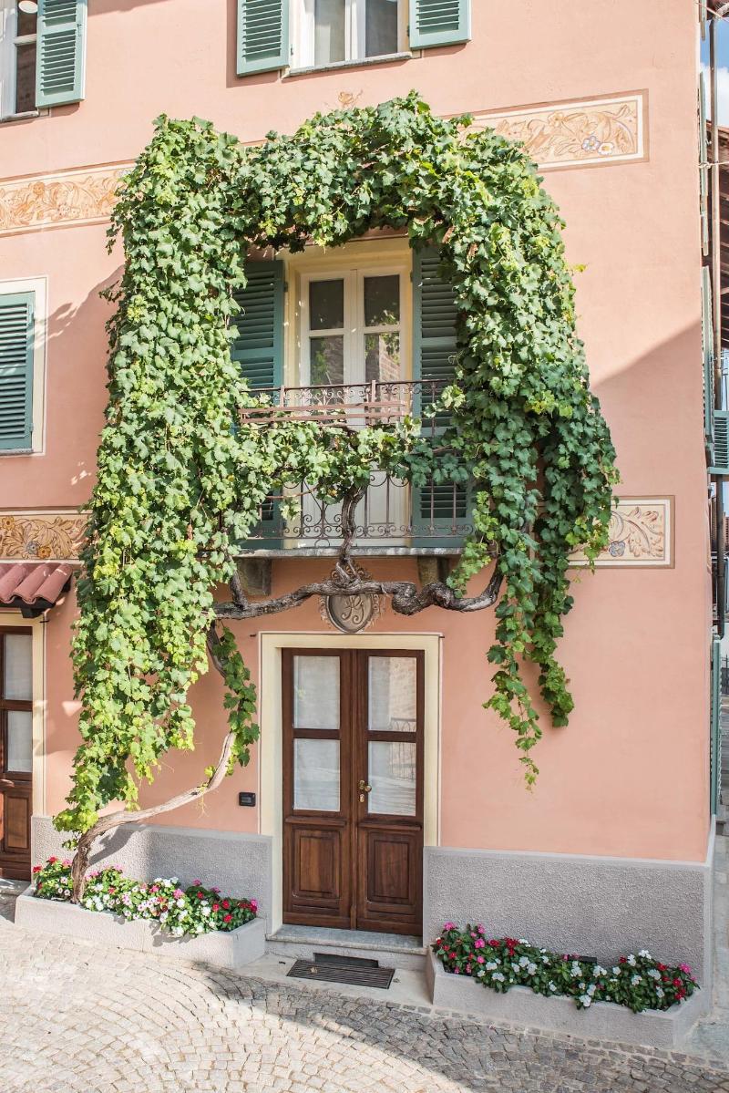 Antico Tralcio - Genel