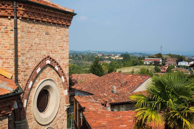 Antico Tralcio - Oda