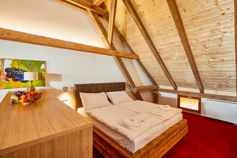 Hotel Ryzlink - Oda