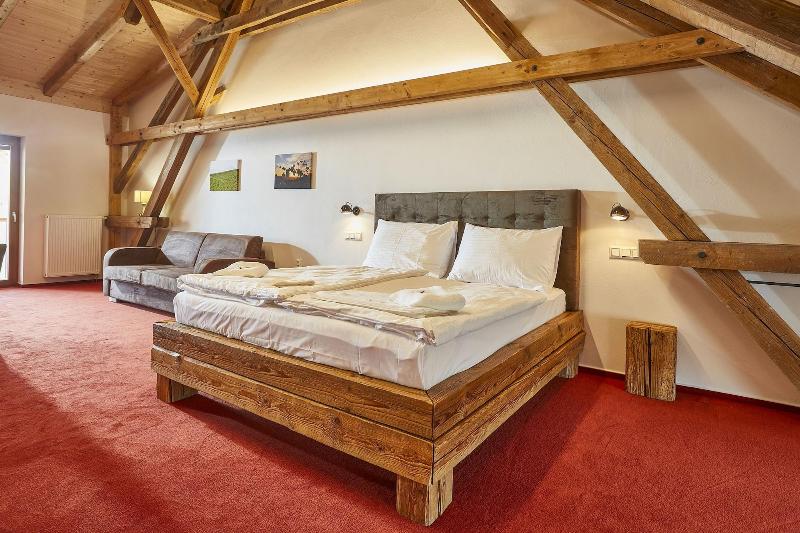 Hotel Ryzlink - Oda