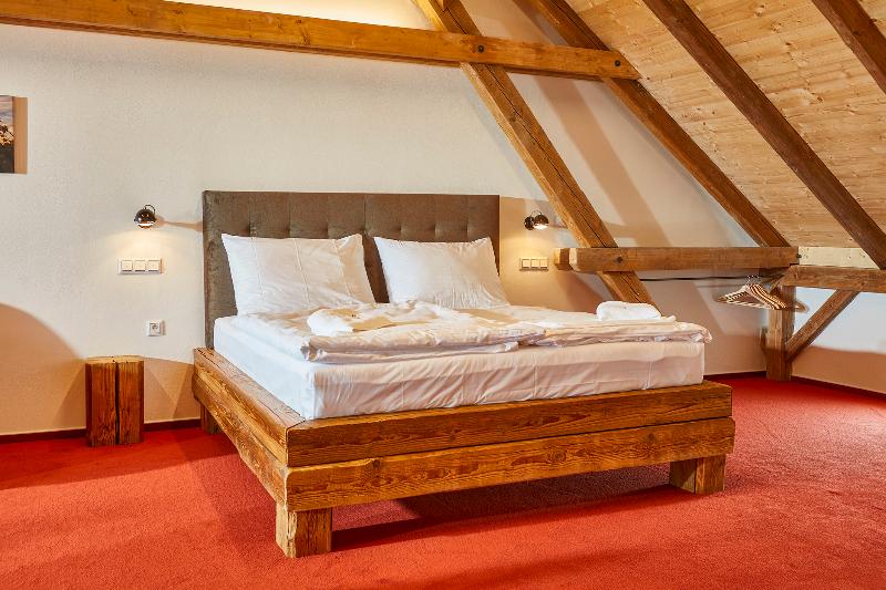 Hotel Ryzlink - Oda