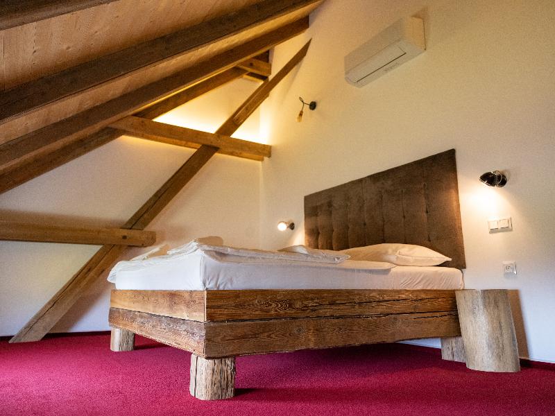 Hotel Ryzlink - Oda