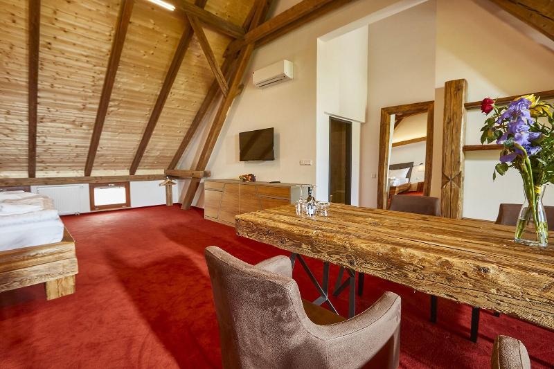 Hotel Ryzlink - Oda