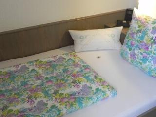 Hotel zur Mühle fotoÄŸrafÄ±