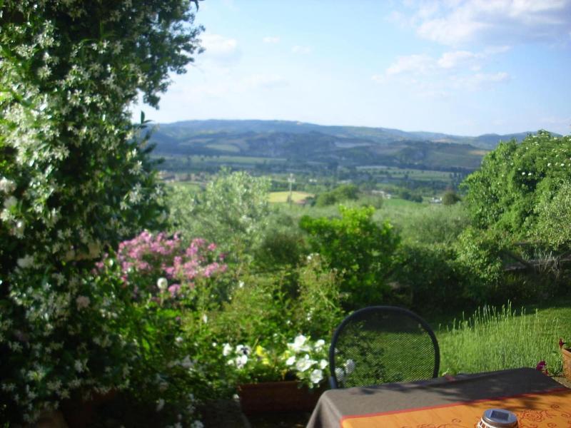 B&B Chiara e Benedetta (La villa degli Ulivi) - Genel