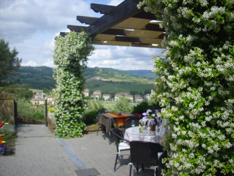 B&B Chiara e Benedetta (La villa degli Ulivi) - Teras