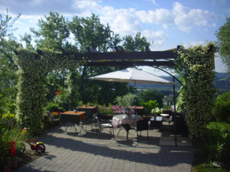 B&B Chiara e Benedetta (La villa degli Ulivi) - Teras