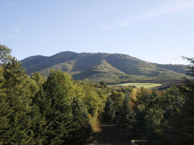 Hotel Castagneto - Genel