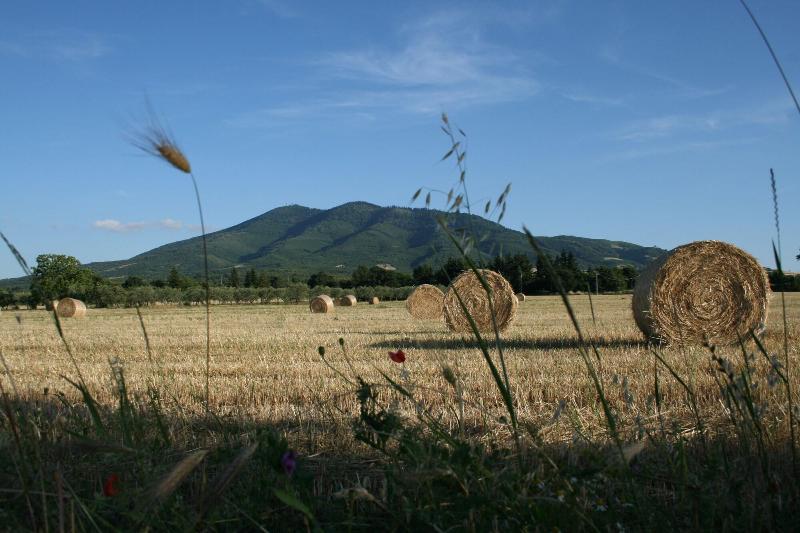 Hotel Castagneto - Genel