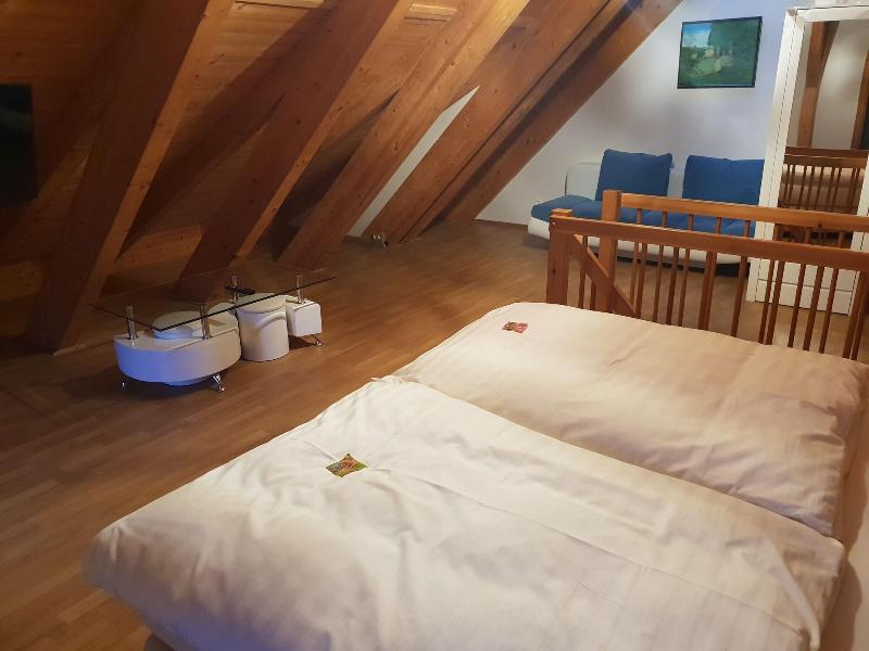 Neue Mühle Hotel und Restaurant - Oda