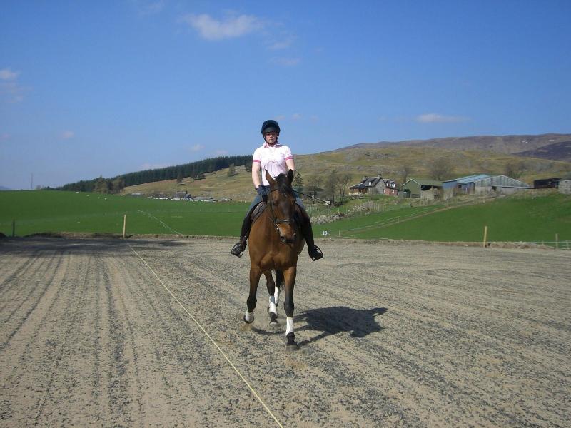 Tigh an Each B&B & Laggan Glamping - Aktivite