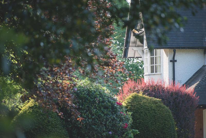Mere Court Hotel - Genel