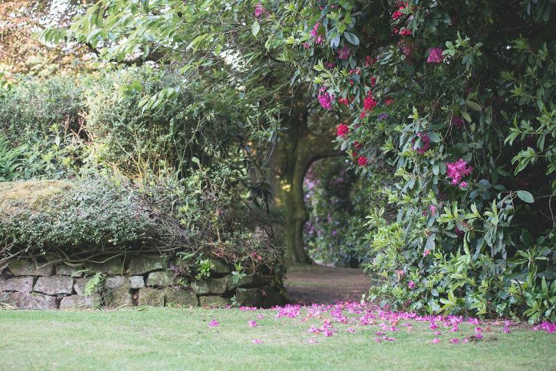 Mere Court Hotel - Genel