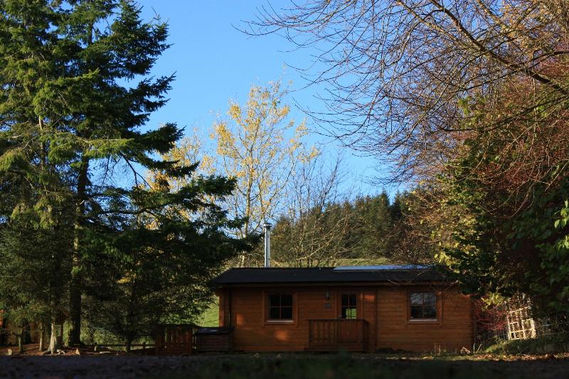 Saplinbrae Hotel And Lodges - Oda