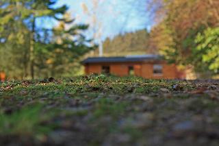 Saplinbrae Hotel And Lodges fotoÄŸrafÄ±