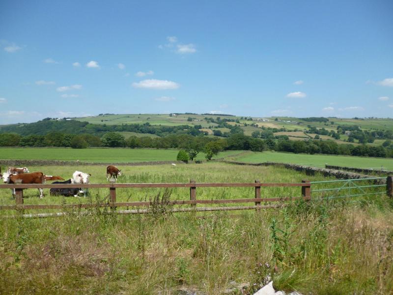 Padley Farm B&B - Genel