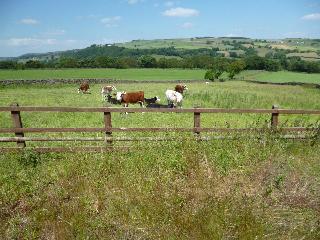Padley Farm B&B fotoÄŸrafÄ±