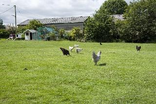 Padley Farm B&B fotoÄŸrafÄ±