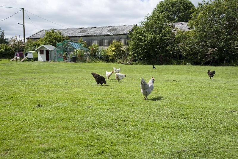 Padley Farm B&B - Genel