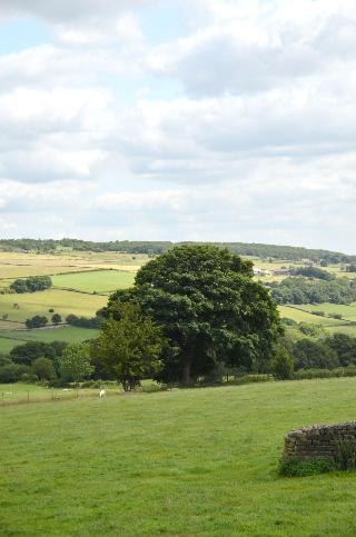 Padley Farm B&B fotoÄŸrafÄ±