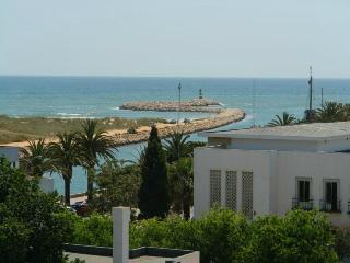 Lagosmar fotoÄŸrafÄ±