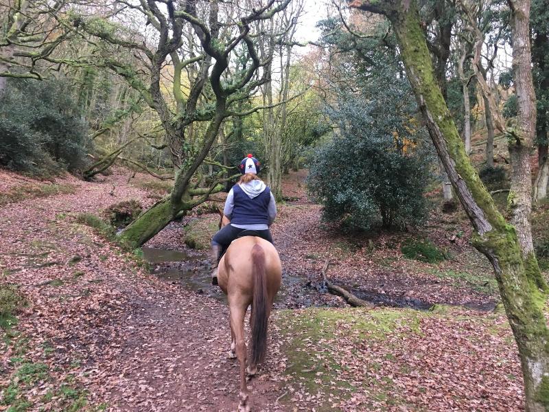 Pardlestone Farm: B&B - Aktivite