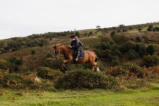 Pardlestone Farm: B&B fotoÄŸrafÄ±