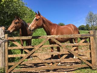 Pardlestone Farm: B&B fotoÄŸrafÄ±