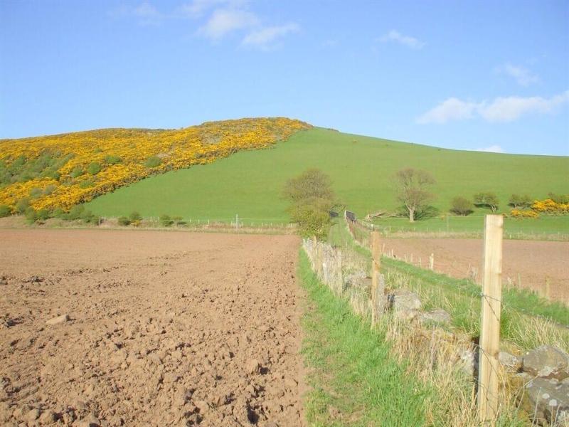 Carlton Seamill B&B - Genel