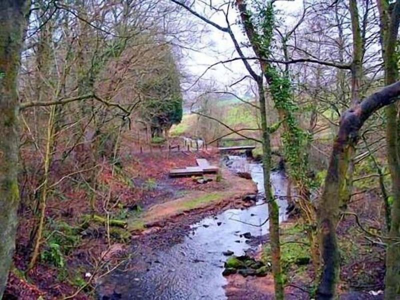 Carlton Seamill B&B - Genel