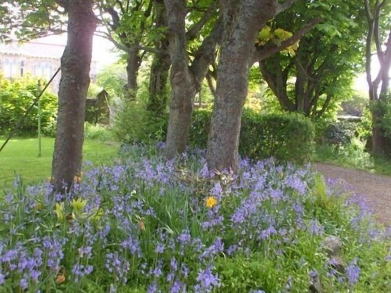 Carlton Seamill B&B - Genel
