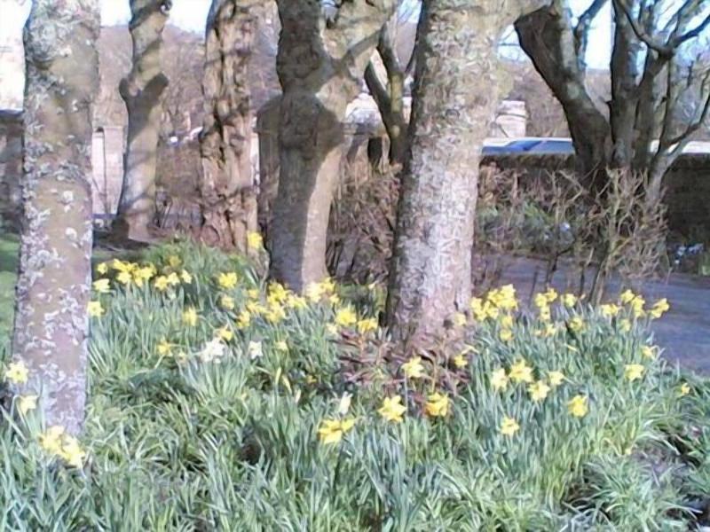 Carlton Seamill B&B - Genel