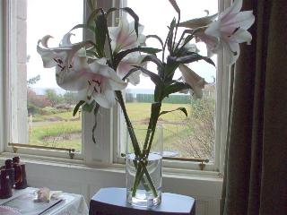Carlton Seamill B&B fotoÄŸrafÄ±