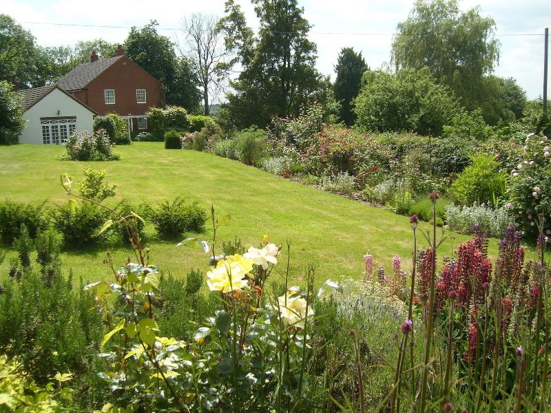 The Hall Farm B & B - Genel