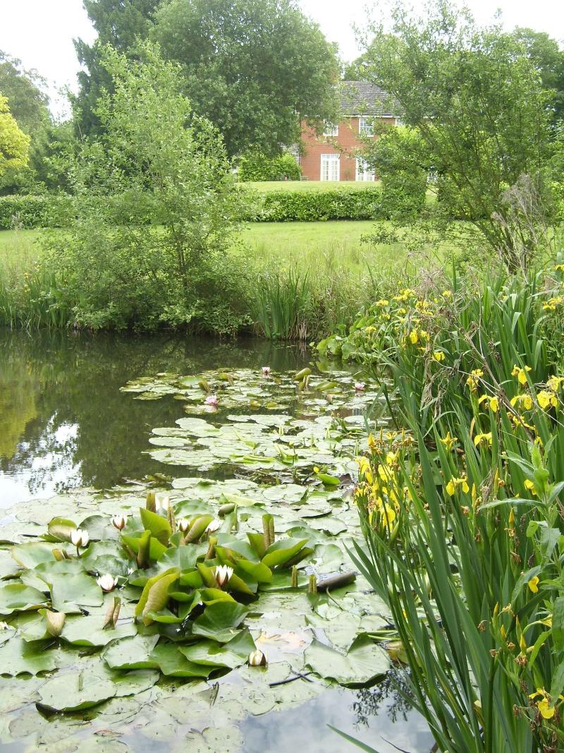 The Hall Farm B & B - Genel