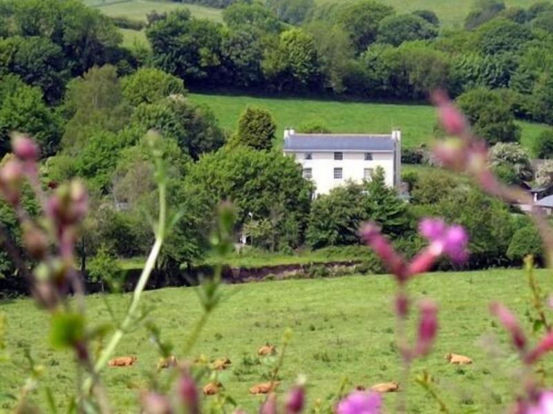 Plantation House Hotel - Genel