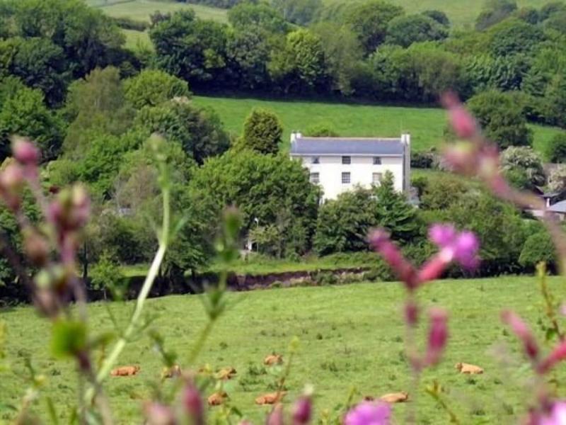 Plantation House Hotel - Genel