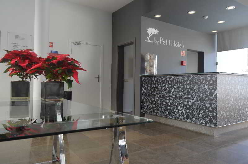 Madeira Bright Star Hotel fotoÄŸrafÄ±