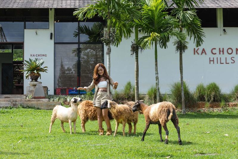 Kachong Hills Tented Resort Trang - Aktivite