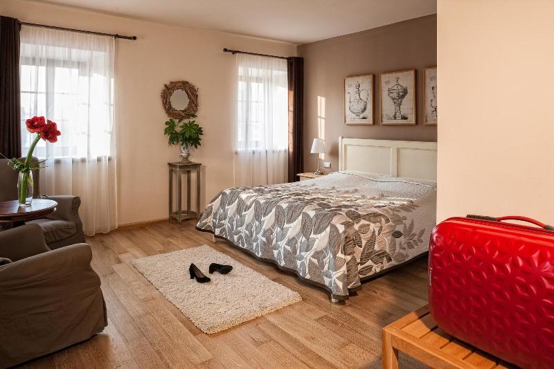 B&B Dvor Tacen - Oda