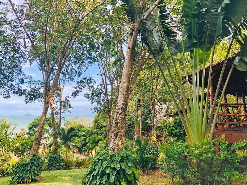 Banyan Bay Villas - Genel
