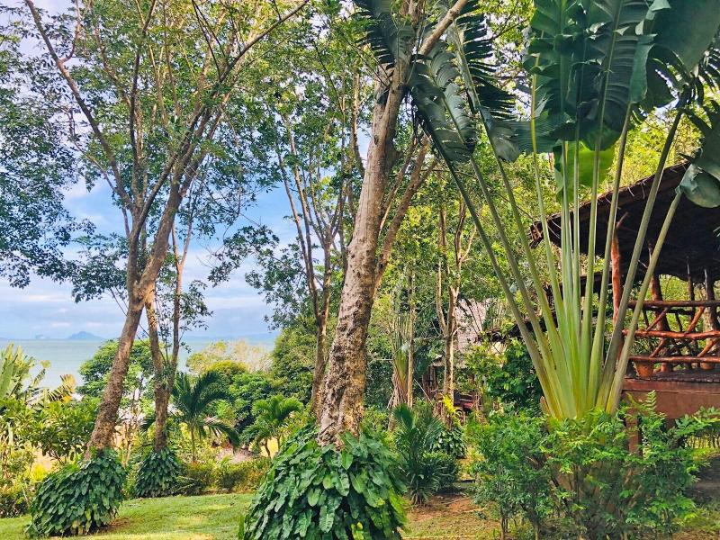 Banyan Bay Villas - Genel
