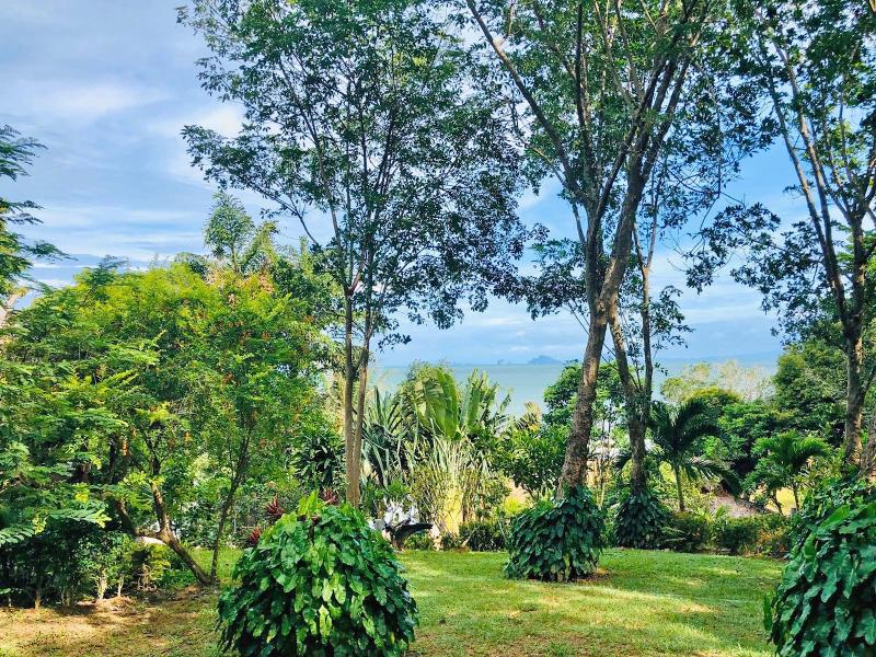 Banyan Bay Villas - Genel